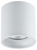 потолочный накладной светильник белого цвета цилиндрического дизайна