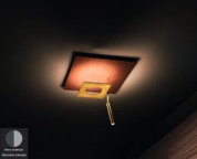 Petra Icone Потолочный светильник квадратный Aluminium, Black i-c-0367