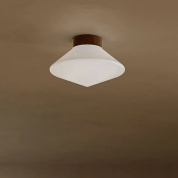 настенно-потолочный светильник с матовым стеклянным плафоном для ванных помещений