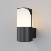 настенный светильник черного цвета с матовым рассеивателем