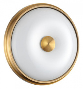 накладной потолочный светильник с круглым корпусом и золотой окантовкой