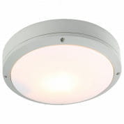 A8154PF-2GY Накладной светильник City Arte Lamp