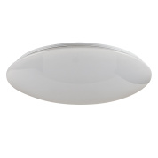 потолочный светильник с гладким белым плафоном овальной формы