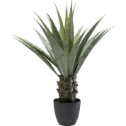 55915 Agave 85cm Kare design искусственное растение