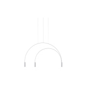 подвесной светильник с двумя плафонами на изогнутой арматуре