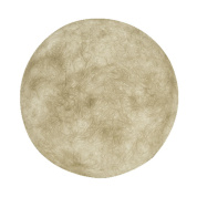 уличный настенный светильник с большим круглым матовым плафоном