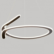 подвесной светильник с круглым корпусом и светодиодным кольцом для направленного освещения