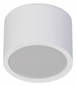 A5543PL-1WH Intercrus Arte Lamp потолочный светильник