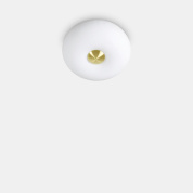 потолочный светильник белого цвета с двумя рассеивателями