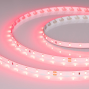 055374 Arlight Лента RT-A60-8mm 24V Ruby (4.8 W/m, IP20, 5m)