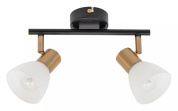 A3117PL-2BK Falena Arte Lamp потолочный светильник