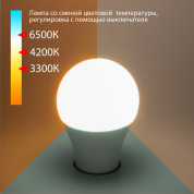светодиодная лампа с матовой шарообразной колбой