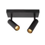 потолочный светильник с двумя направляемыми модулями в цилиндрическом корпусе