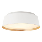 Потолочный светильник Asher Feiss FE-ASHER-3F-WHT матовый белый и золотой