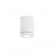 TUBE 1.0 PAR16 Wever Ducre накладной светильник белый