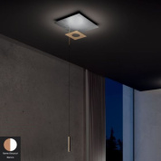 Petra Icone Одинарный подвес Round, Square White, Copper i-c-0455
