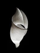 торшер с изогнутым металлическим корпусом