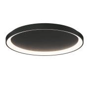 потолочный светильник чёрного цвета