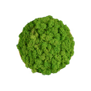 декоративный элемент зелёного цвета