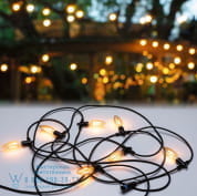 94324 Plug &amp; Shine LED Fairy lights Система Shine Light для сада Paulmann