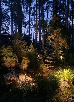 "Сказочный лес" или тестовая инсталляция светильников   - 2