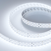 019925(2) Arlight Лента RT-A252-19mm 24V White6000 (27 W/m, IP20, 2835, 5m)