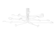 ARBOR-P20BI27K Arbor Icone потолочный светильник