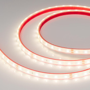 034158 Arlight Лента герметичная RTW-PFS-A60-11mm 24V Day4000 (4.8 W/m, IP68, 2835, 5m)