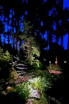 "Сказочный лес" или тестовая инсталляция светильников   - 5