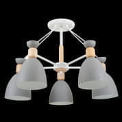 Потолочный светильник Delia Maytoni Freya белый-серый FR5033CL-05W