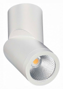 ST650.542.10 ST-Luce St650 cпот, 10Вт, 4000K, 800лм, белый