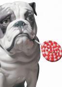 Коллекция Lladro Dog Candy