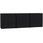 71076-001556 Audo Copenhagen Frame 42 Вид настенного шкафа, черный ясень