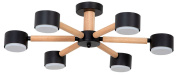 A1624PL-6BK Arte Lamp TENDA потолочная люстра 12W