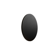 уличный настенный светильник с овальным тёмным корпусом и направленным световым потоком