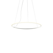 подвесной светильник с тонким кольцом и шарообразным плафоном IP40