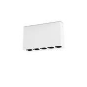 потолочный светильник белого цвета