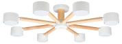A1624PL-8WH Arte Lamp TENDA потолочная люстра 12W