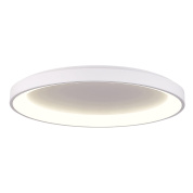 потолочный светильник белого цвета