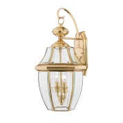 Настенный уличный светильник Newbury Quoizel QZ-NEWBURY2-L-PB лакированная полированная латунь