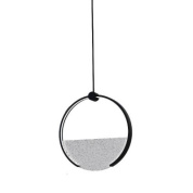 подвесной светильник кольцевой формы с прозрачным кристаллическим рассеивателем