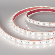 036256 Arlight Лента герметичная RTW-PFS-B60-13mm 12V Day5000 (14.4 W/m, IP68, 5060, 5m)