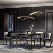 Коллекция MM lampadari Whale