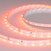 055375 Arlight Лента RT-A60-8mm 24V Carrot (4.8 W/m, IP20, 5m)