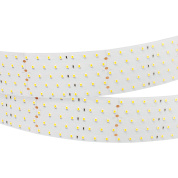 019081(B) Arlight Лента RT 2-2500 24V Day4000 5x2 (2835, 875 LED, LUX)