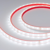 034157 Arlight Лента герметичная RTW-PFS-A60-11mm 24V White6000 (4.8 W/m, IP68, 2835, 5m)