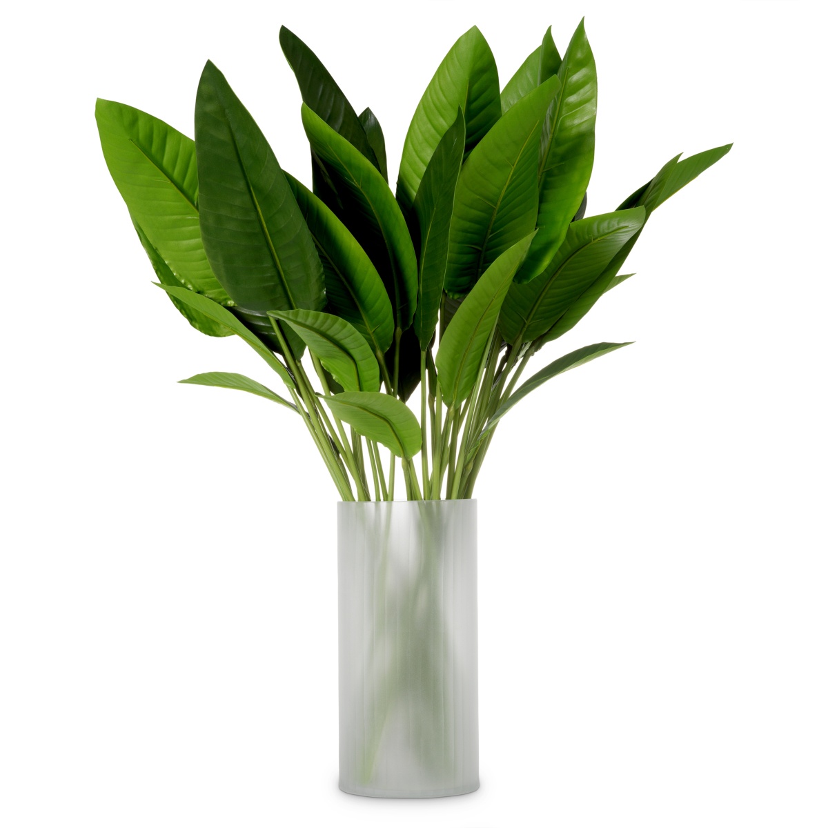 Коллекция Eichholtz Strelitzia Leaves