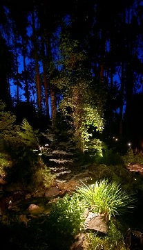 "Сказочный лес" или тестовая инсталляция светильников   - 1