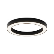 потолочный светильник черного цвета с внутренним ободом