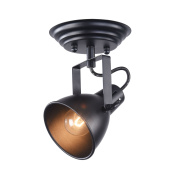 потолочный спот с регулируемой головкой черного цвета